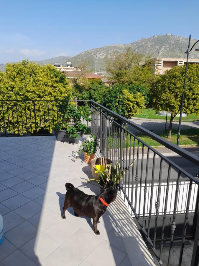 A Casa Di Falco Mondragone Exteriör bild